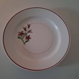Flat plates Salins France