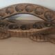 Sculpture crocodile Awalé in wood - African art craftsmanship (74 cm)