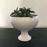 Coupe cache pot sur pied