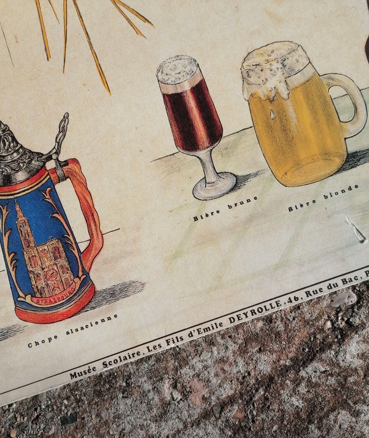 Educational poster La Bière - Musée scolaire Les fils d'Émile Deyrolle