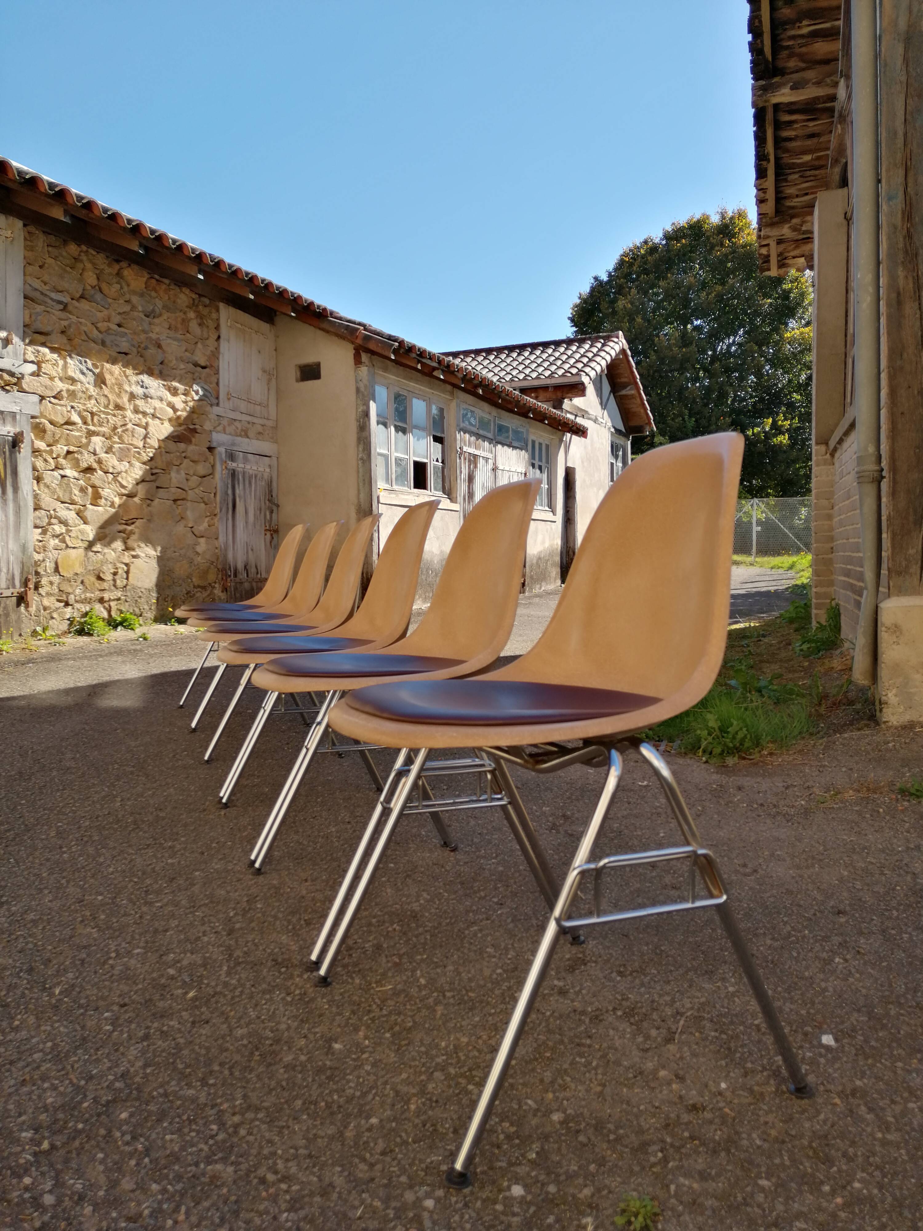 Lot de 6 chaises DSS Charles & Ray Eames pour Herman Miller Edition Vitra