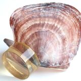 Shell on resin base, 70s