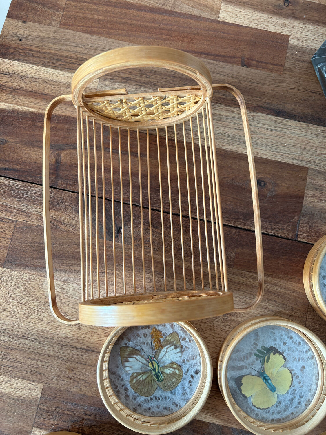 Set of 6 under glass butterfly