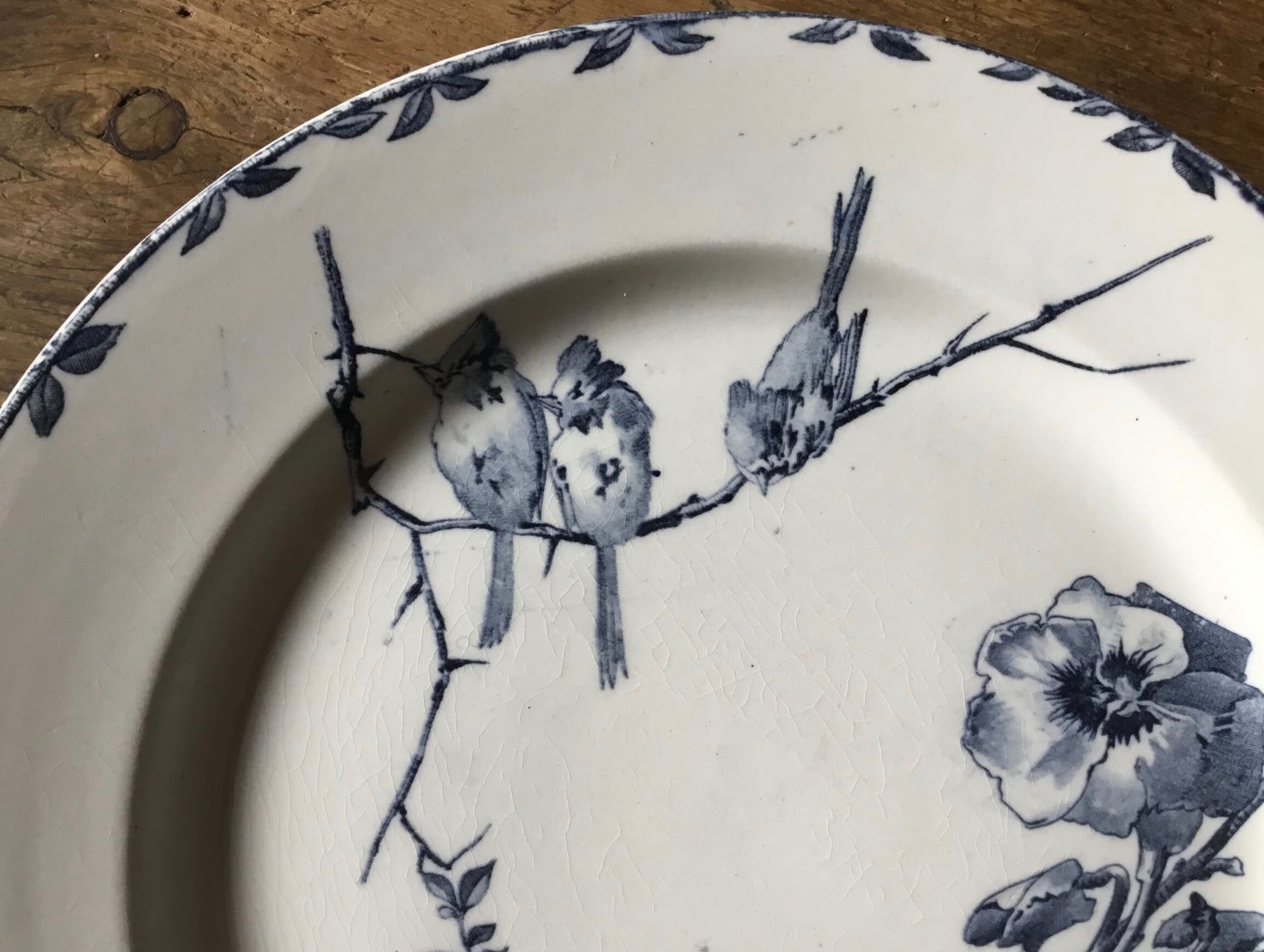 Oxford Choisy the King Plates