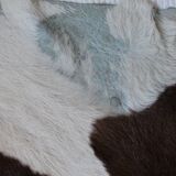 Calfskin