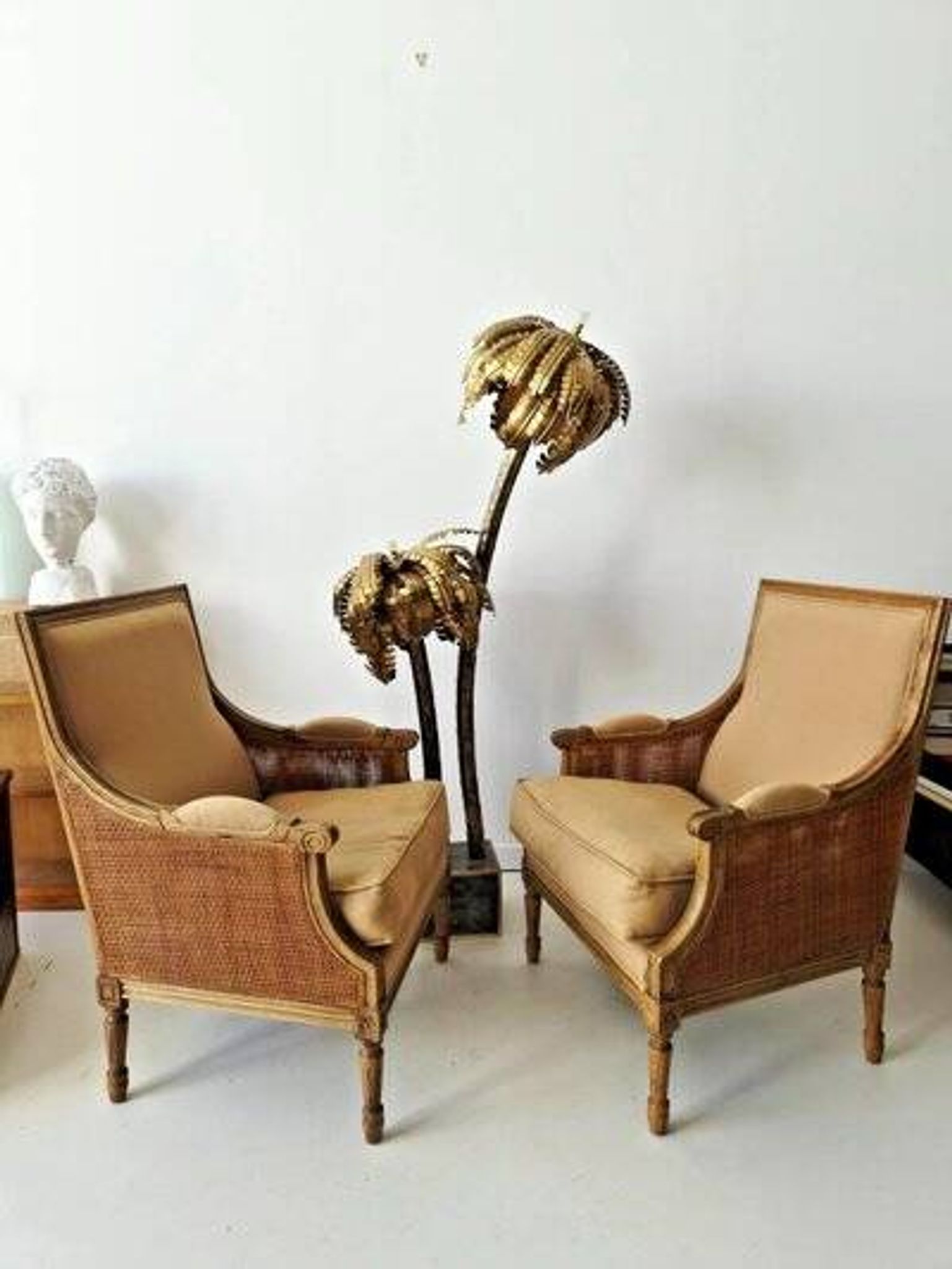 Pair of French antique Louis XV style armchairs (cane back armchairs)