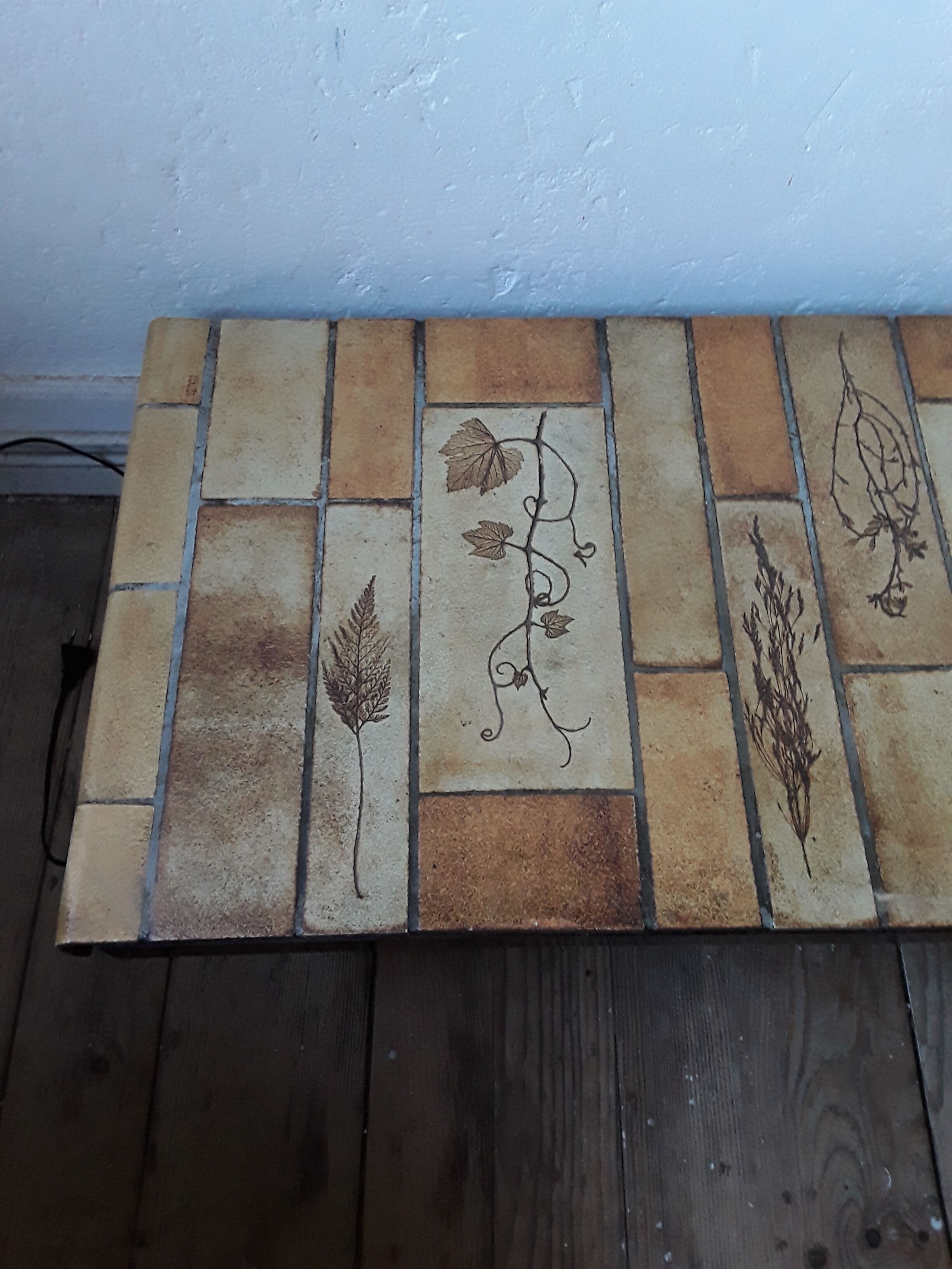 Coffee table Roger Capron model "herbarium"