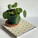 St Clément Vintage Polka Dot Ceramic Trivet