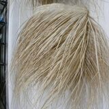 Wall lamp in natural fibres, woven straw with fringes.