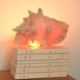 Natural shell lamp, 60s