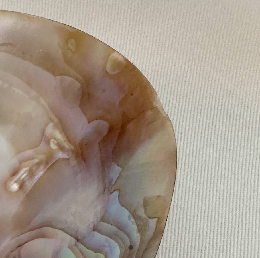 1920 French Antique Mother of Pearl and Shell Large Spoon