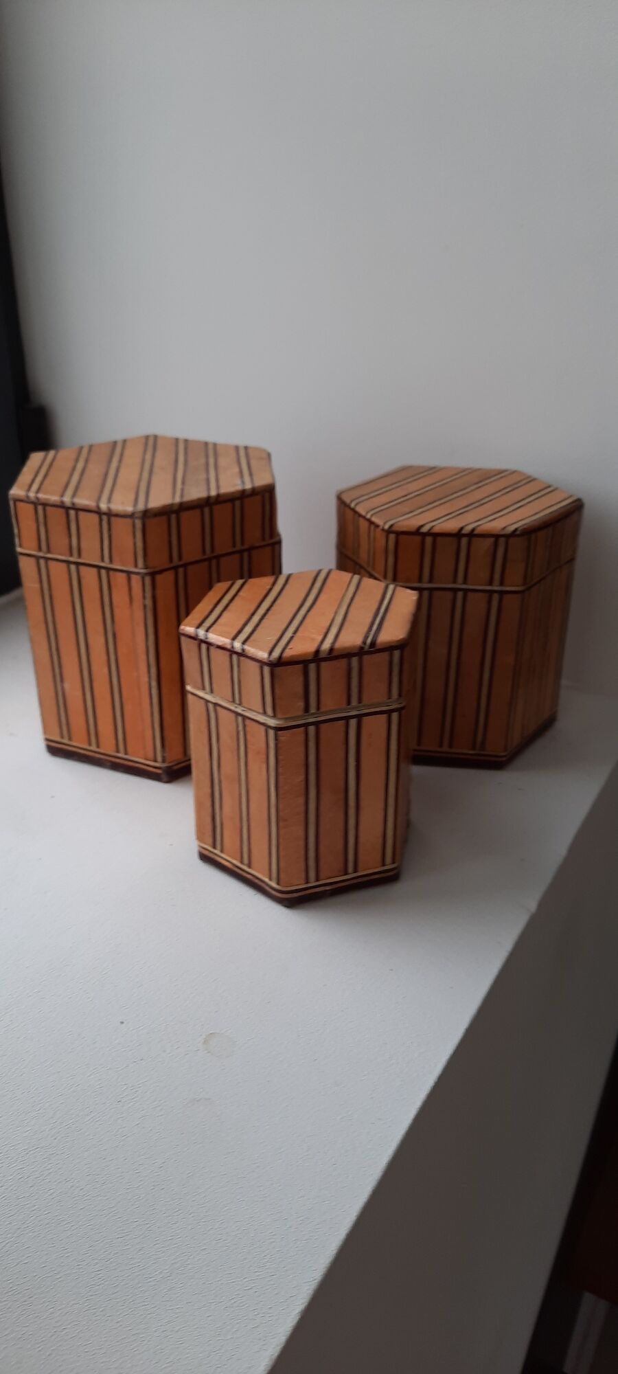 Cardboard nesting boxes and wooden strips