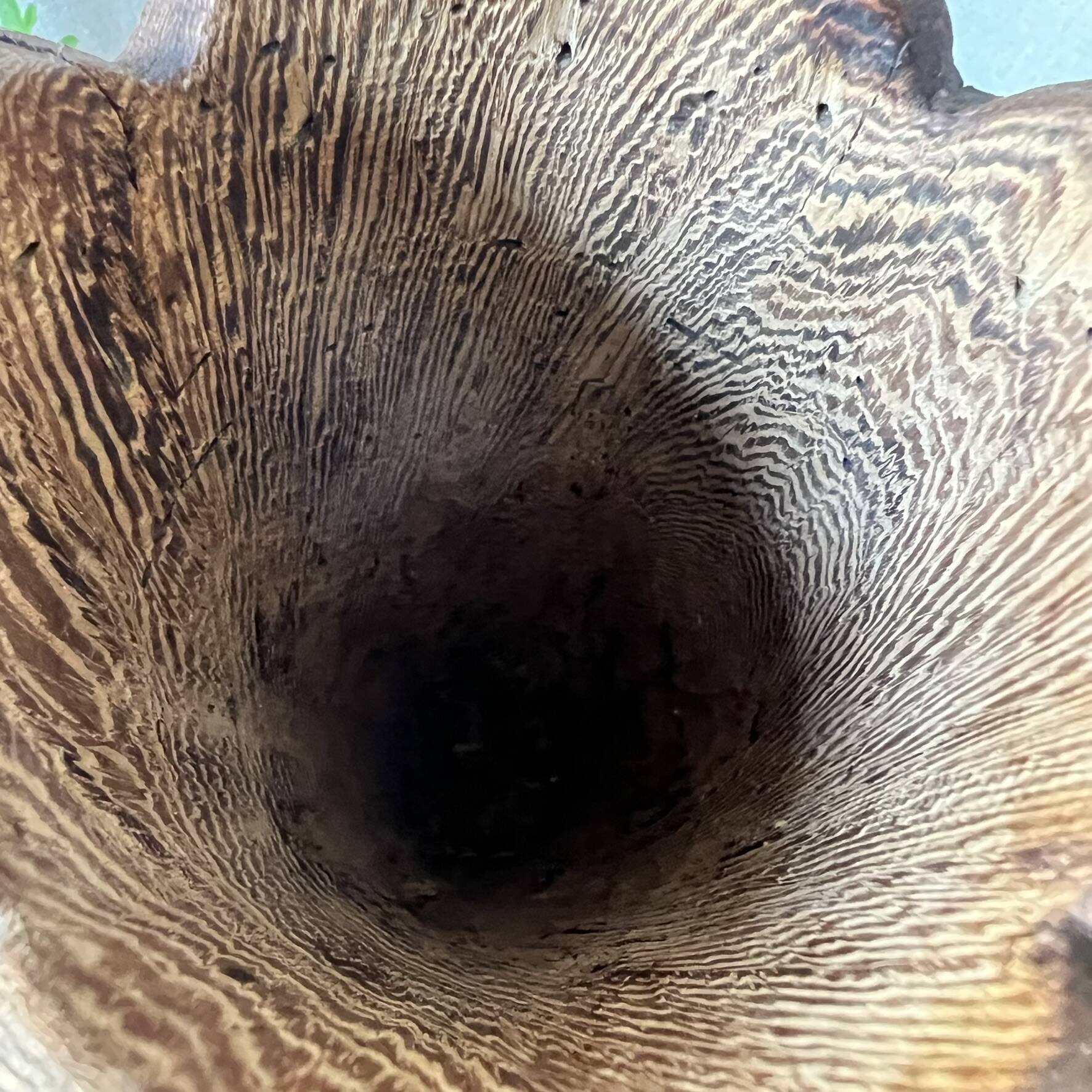Large sculpted vase made of solid wood