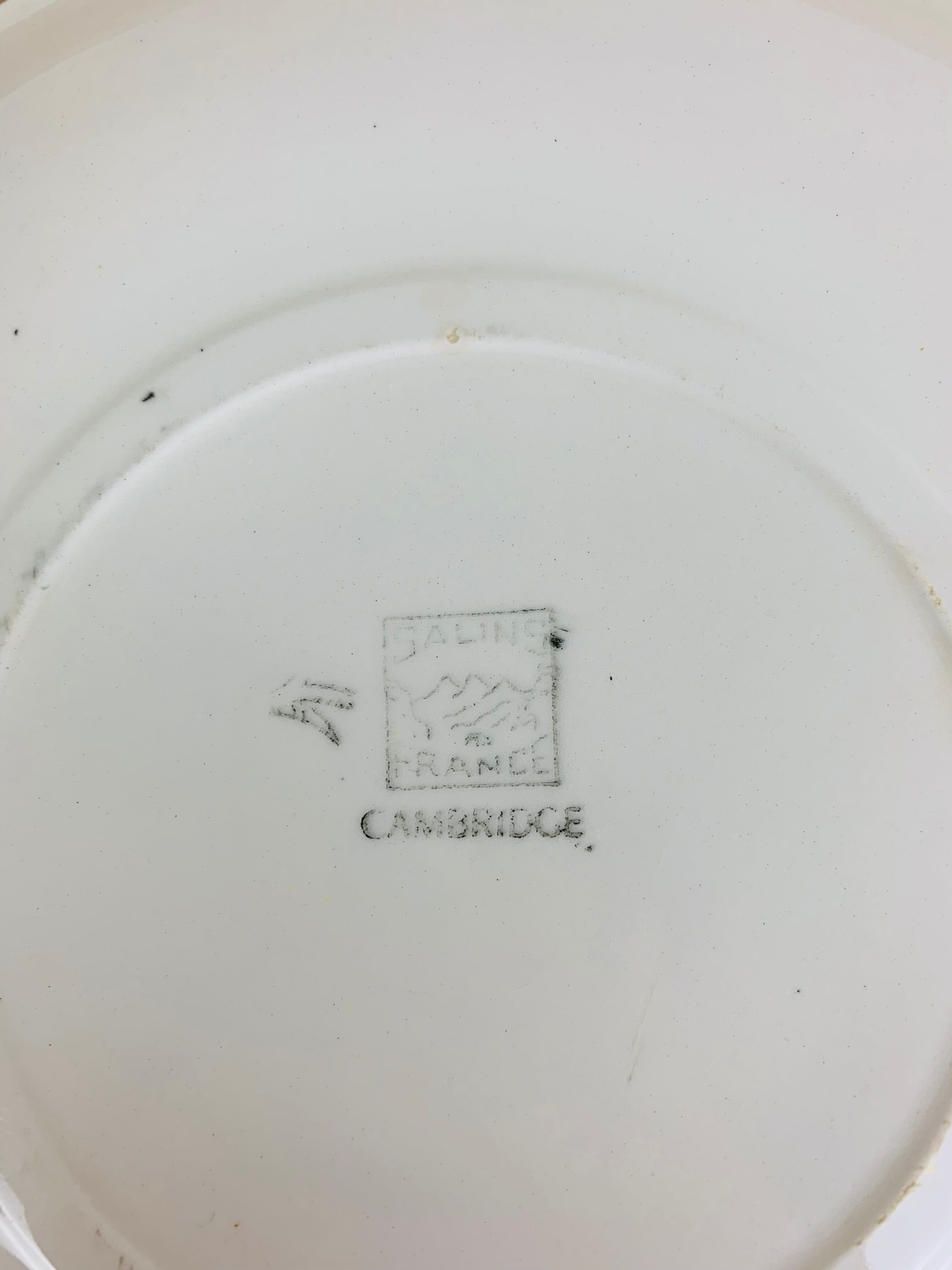6 flat cambridge plates by Salins