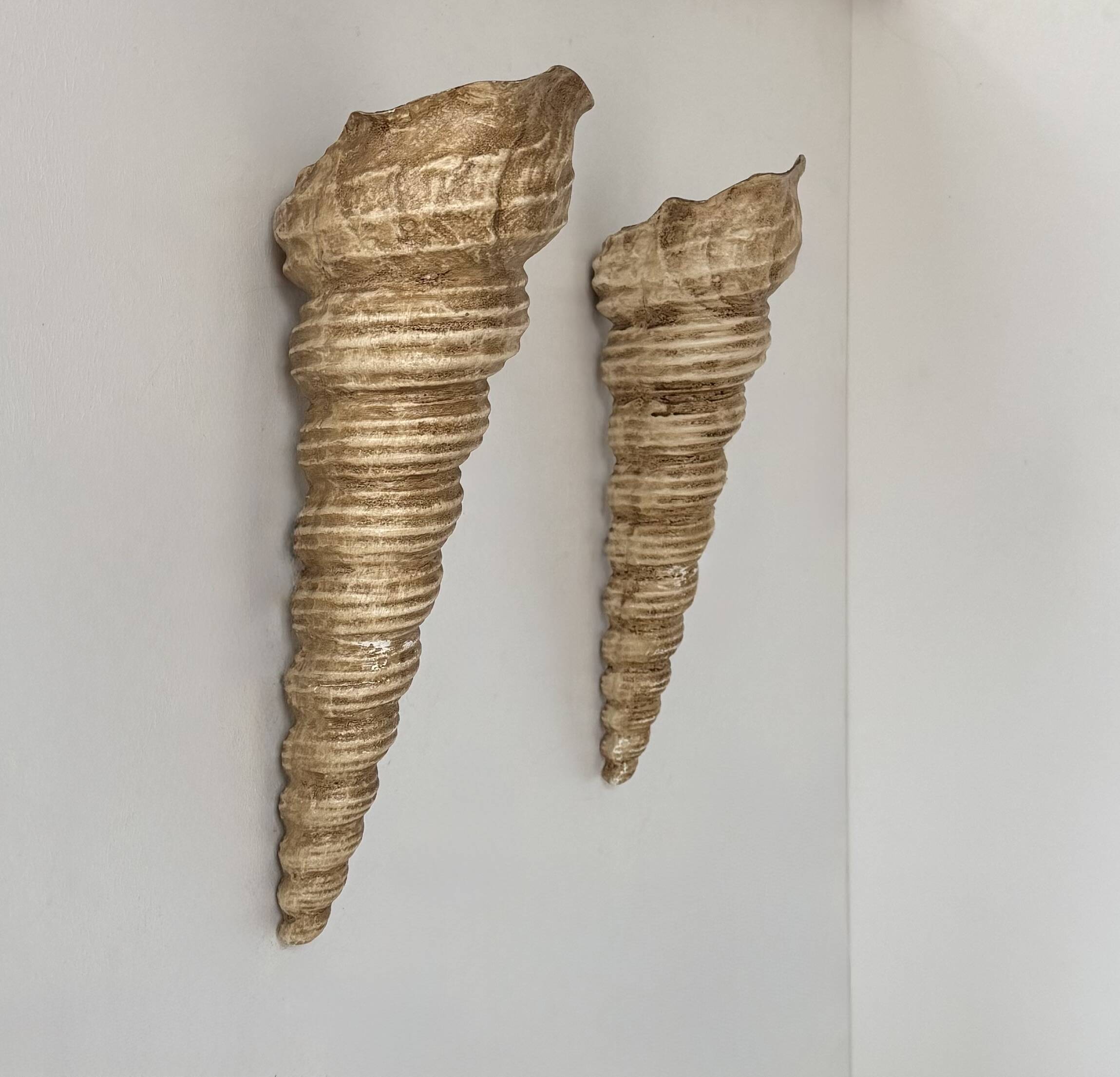 Pair of vintage shell wall sconces, beige fiberglass, France 1960