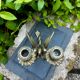 Large silvered bronze chandelier chimera Art Nouveau period