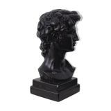 David head in black waxed plaster