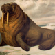 Poster "seals and walruses" Th. Breidwiser for Gerold & Sohn 1879