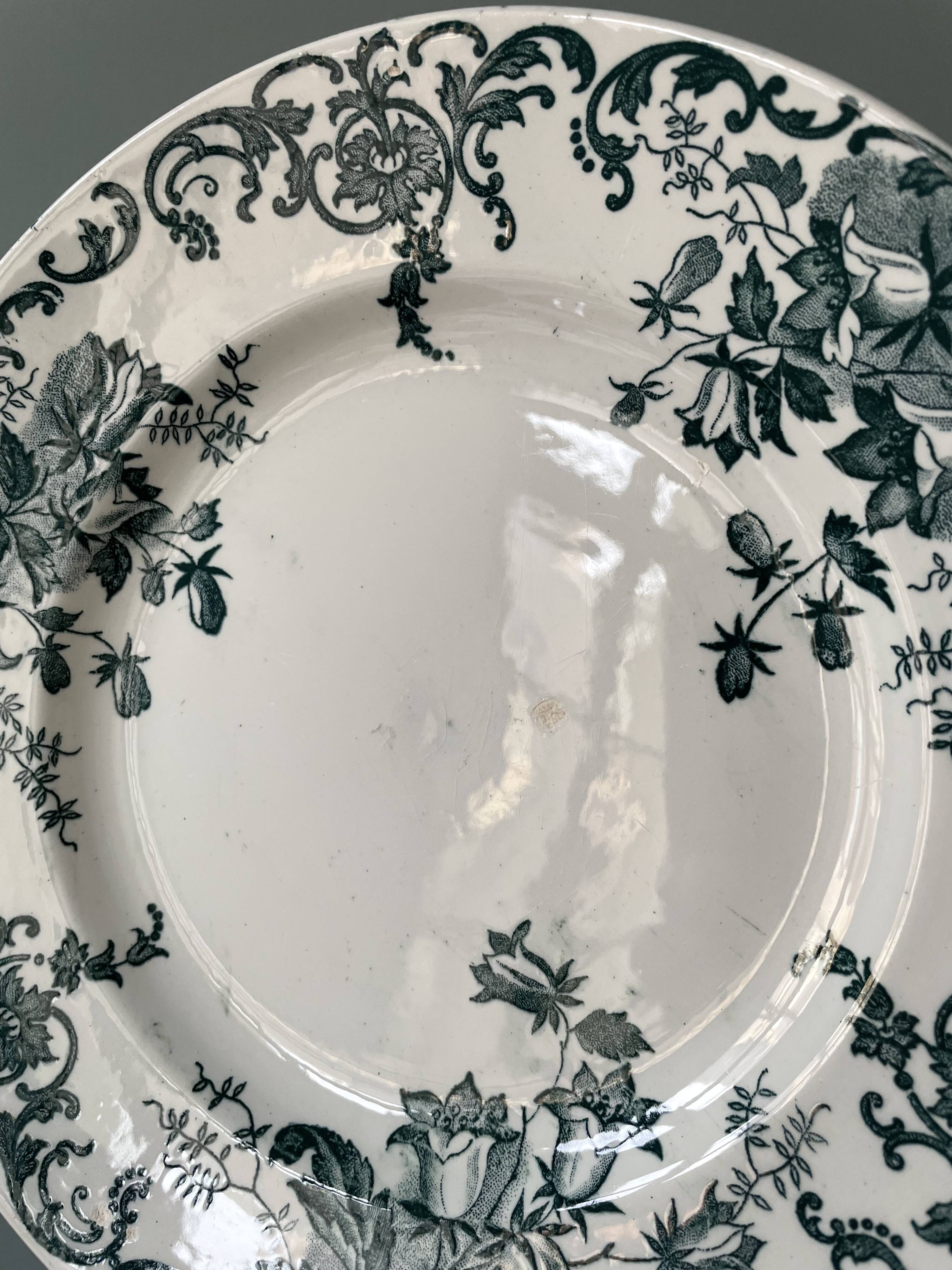 Lot de 9 assiettes plates Terre de Fer modèle « Campanule » St Amand et Hamage