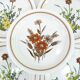 6 small white stoneware dessert plates - floral decoration - Country Charm Collection