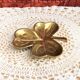 Trinket bowl decoration clover gilded bronze
