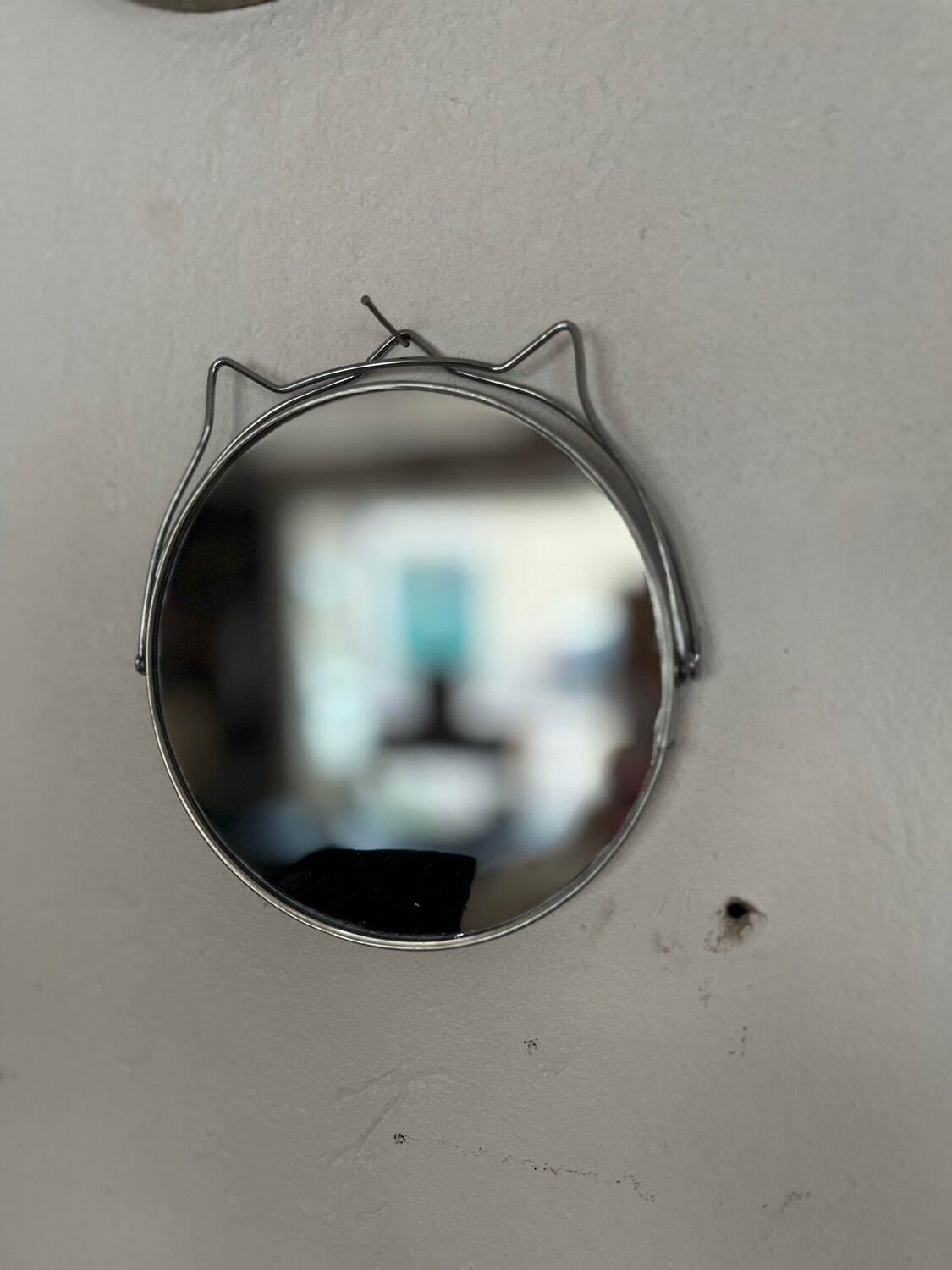 Mirror barber cat