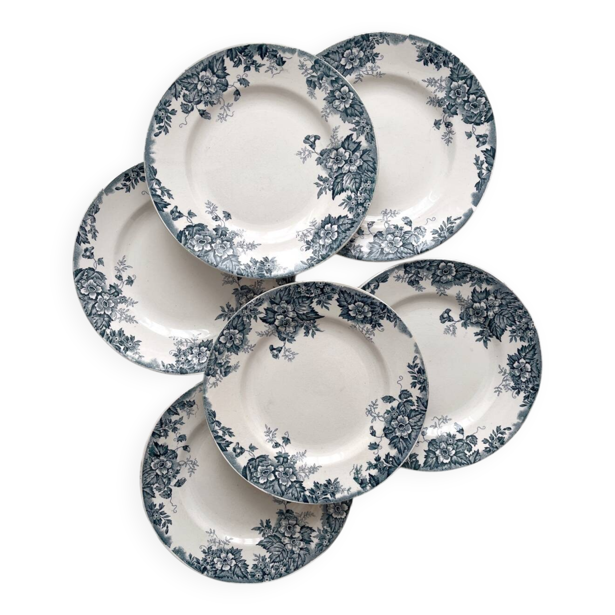 6 flat ironstone plates “Marie Louise” Saint Amand and Hamage