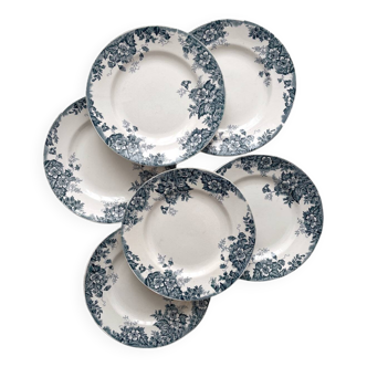 6 assiettes plates en terre de fer « Marie Louise » Saint Amand et Hamage