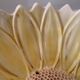 Sunflower slip dish drainer