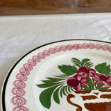 Plate XIXth Sarreguemines