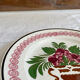 Plate XIXth Sarreguemines
