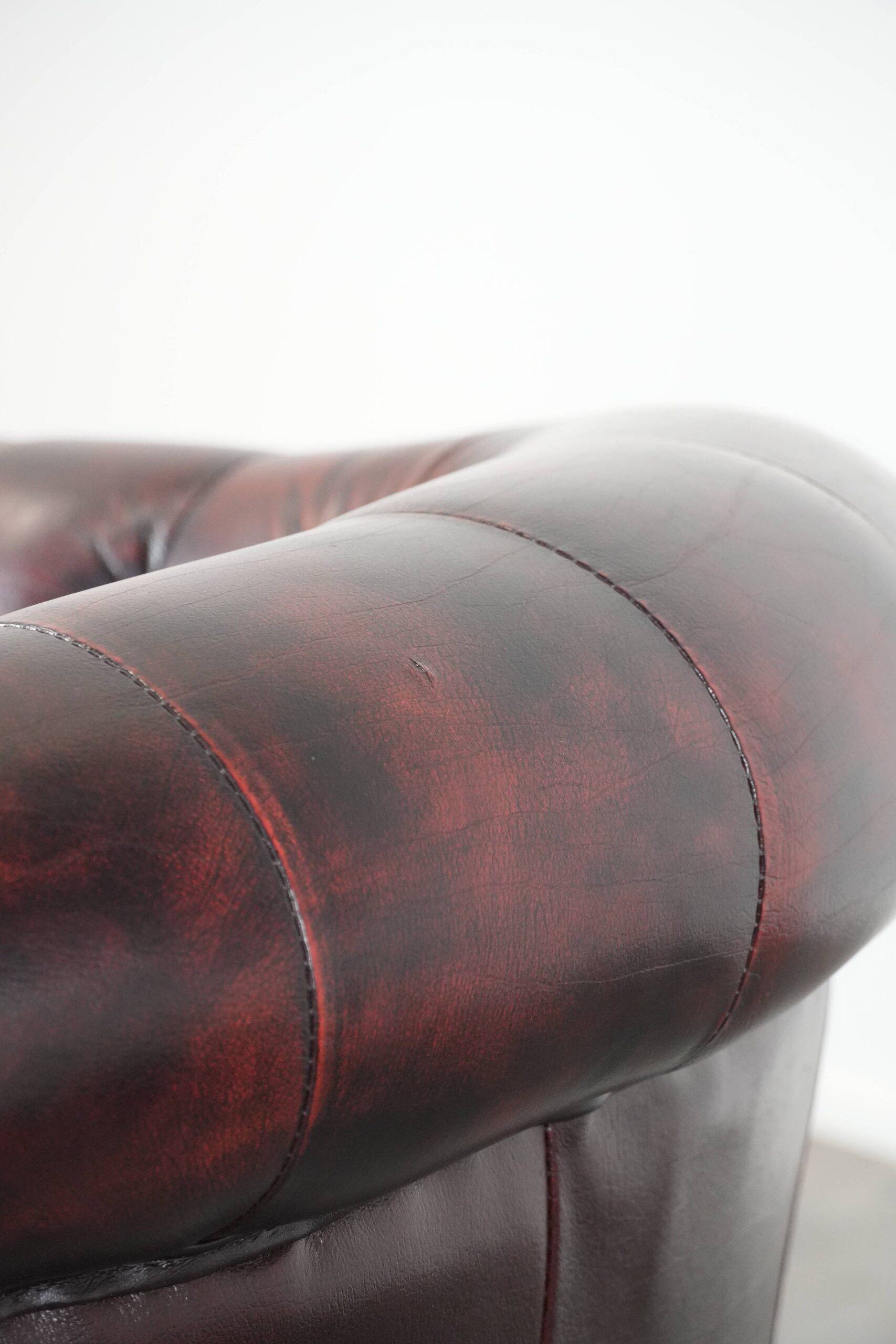 Cow leather Chesterfield club armchair in classic English style