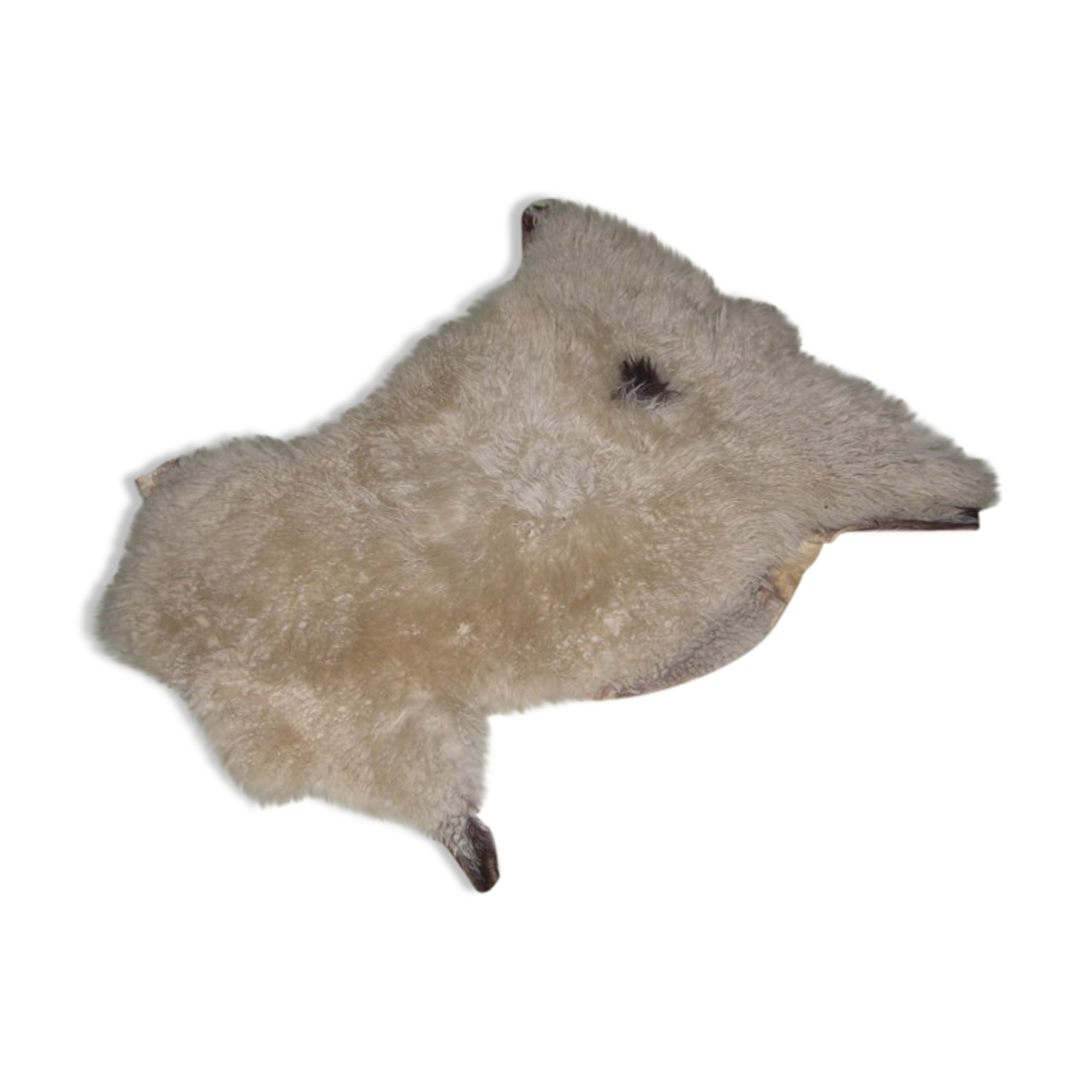 Skin of sheep 100 X 83