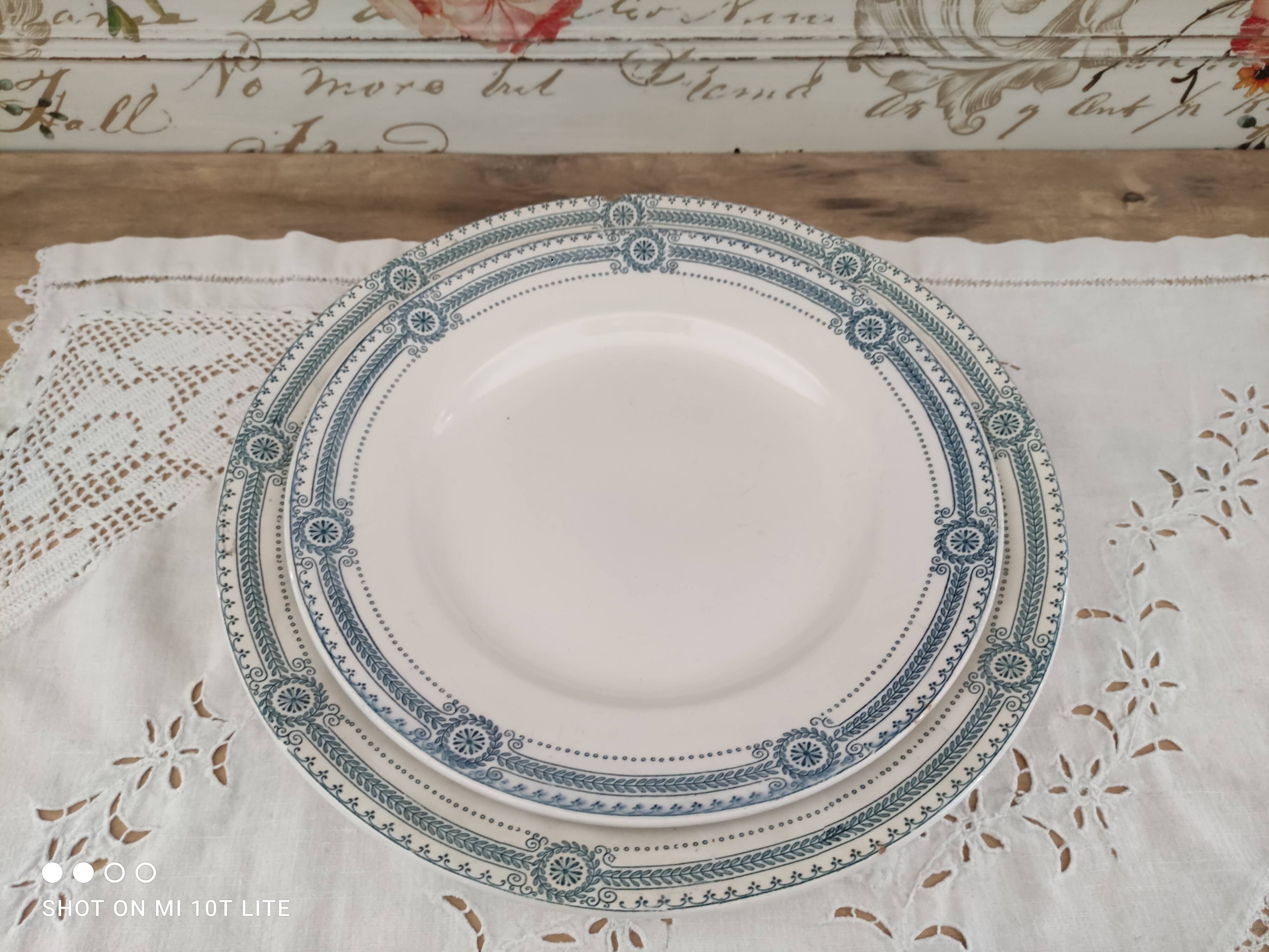 Set of 2 round dishes trundle in Iron Earth Sarreguemines model Carina decoration blue frieze