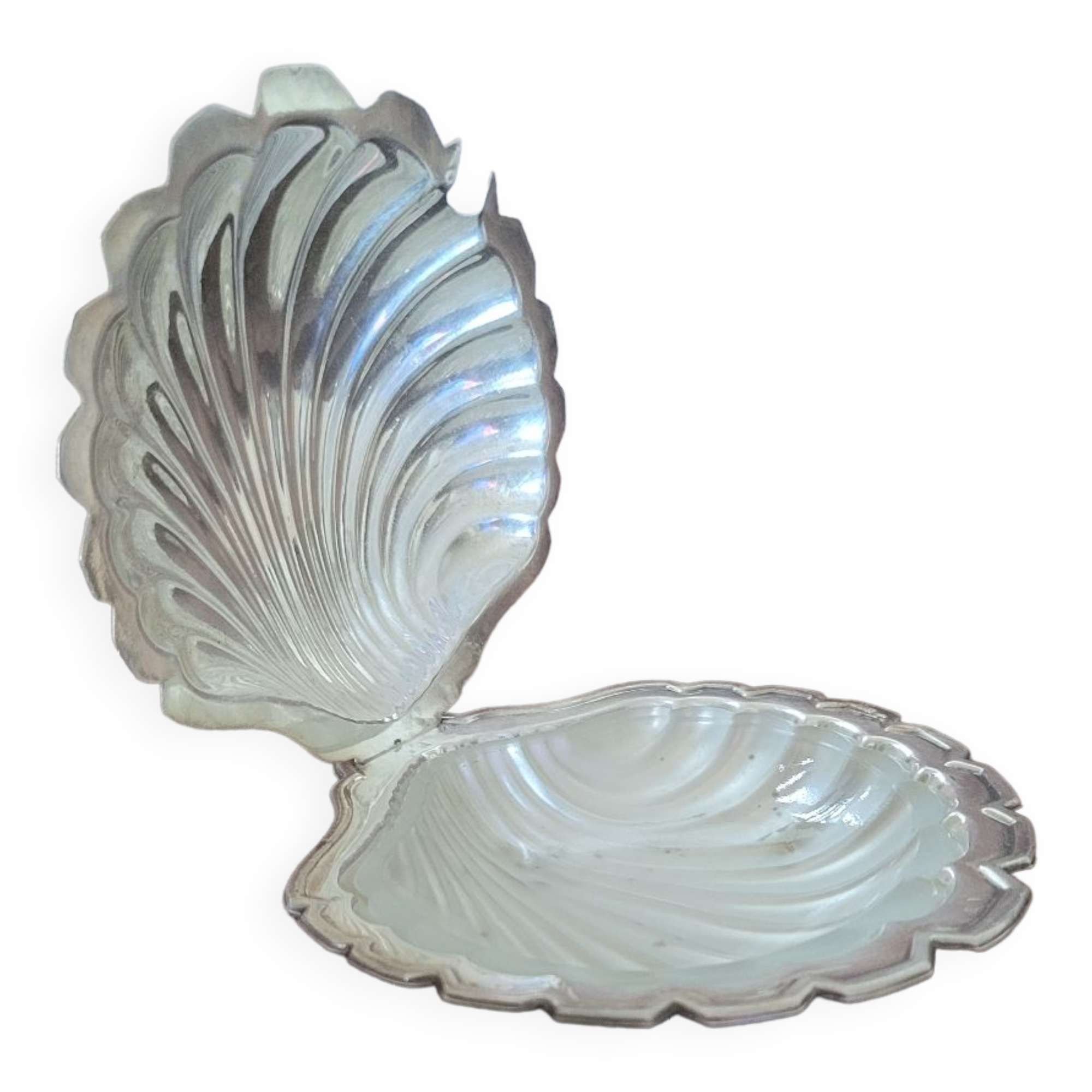 Beurrier coquillages