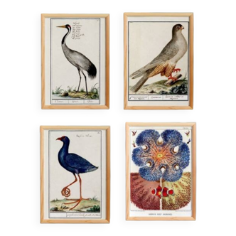 Set of 4 posters, based on engravings from 1610 and 1893