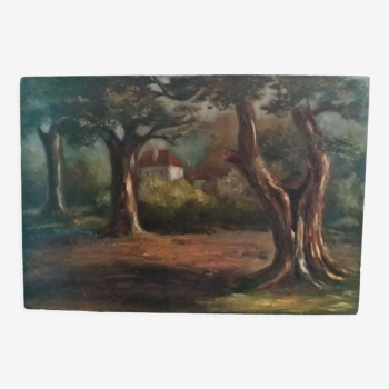 Oil painting on landscape panel