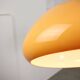 Mid-Century Modern Cabras Lamp by Luigi Massoni for Guzzini, 1960s