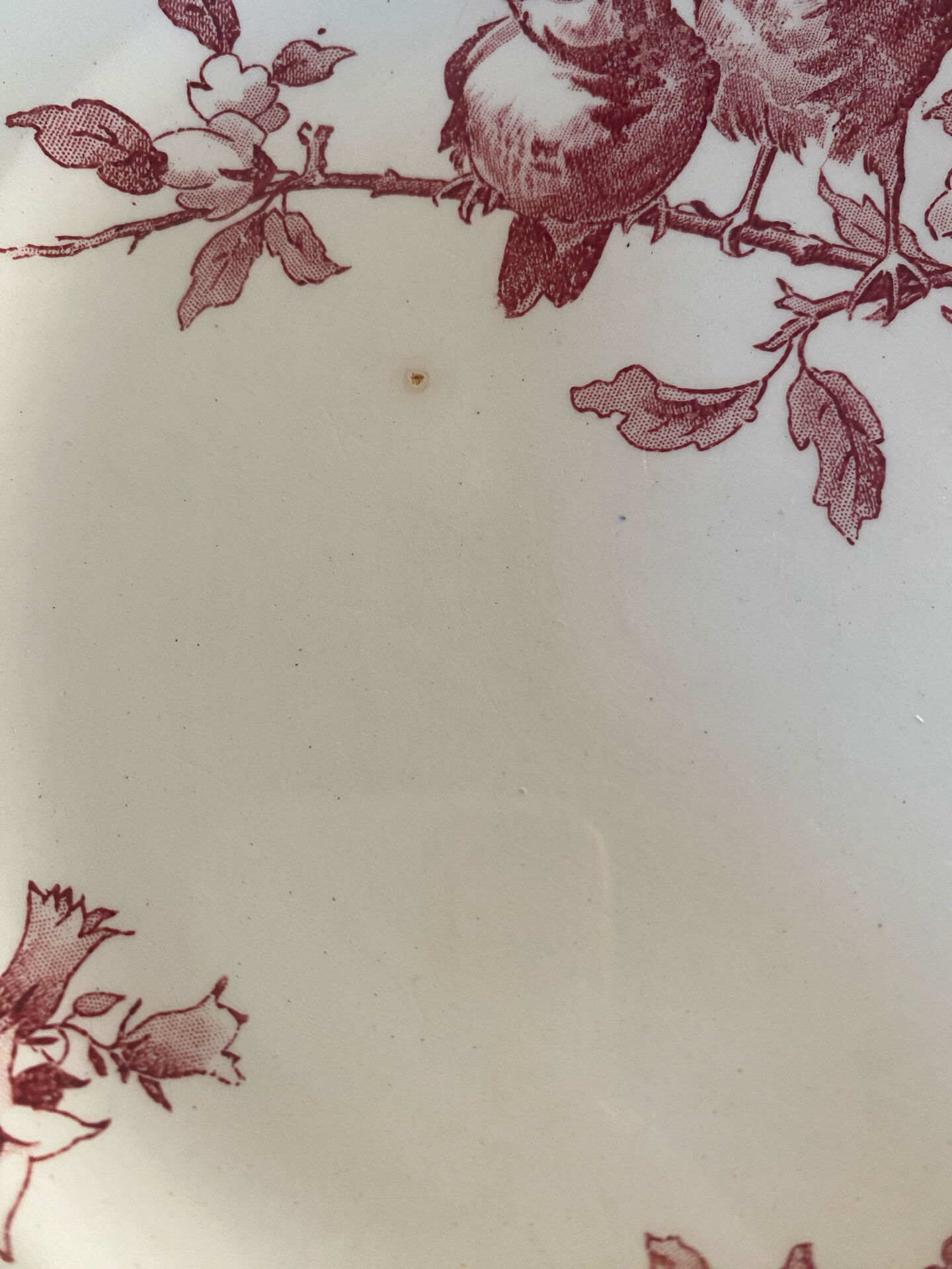 Assiette plate modèle Favori de Sarreguemines