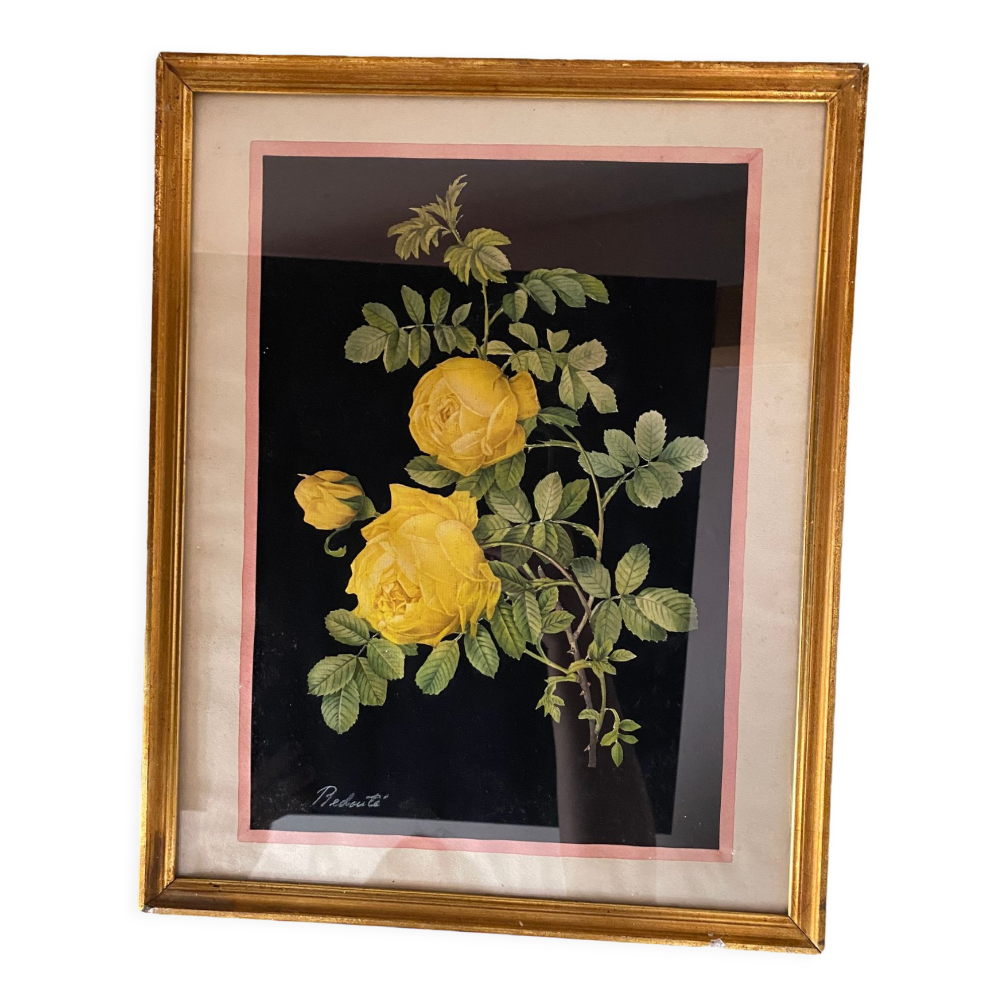 Framed poster vintage pinks yellow feared