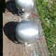 Paire d'appliques eyball vintage