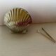 Mini sugar bowl scallop sweetener
