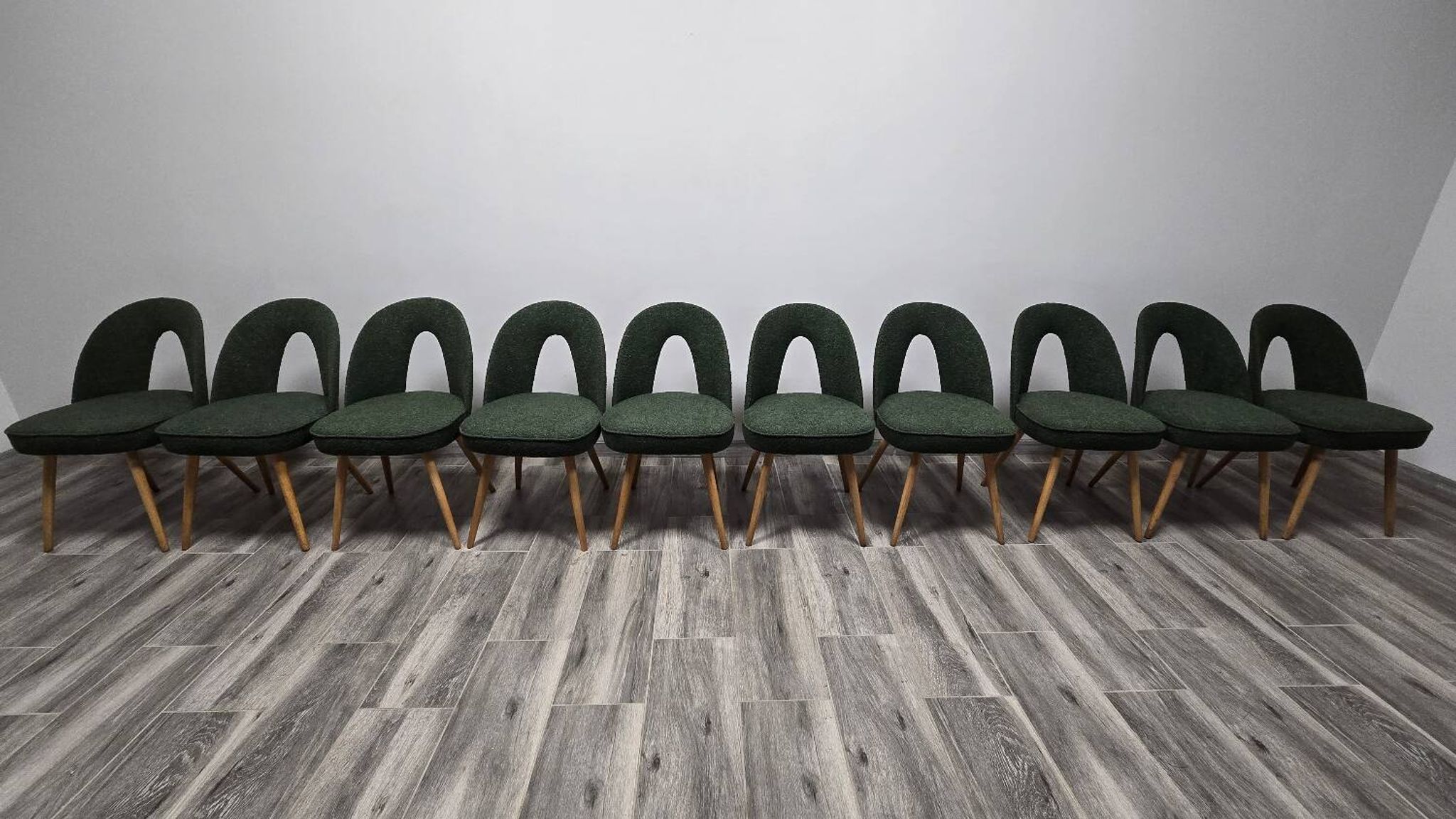 Dining Chairs by Antonin Suman, 1960s, Set of 10