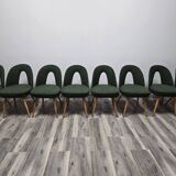 Dining Chairs by Antonin Suman, 1960s, Set of 10