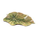 Alocsia leaf plate