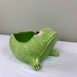 Big Frog Jean Roger