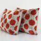 Paire de coussins