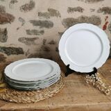 6 Limoges porcelain dinner plates