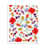 "Spring" draw