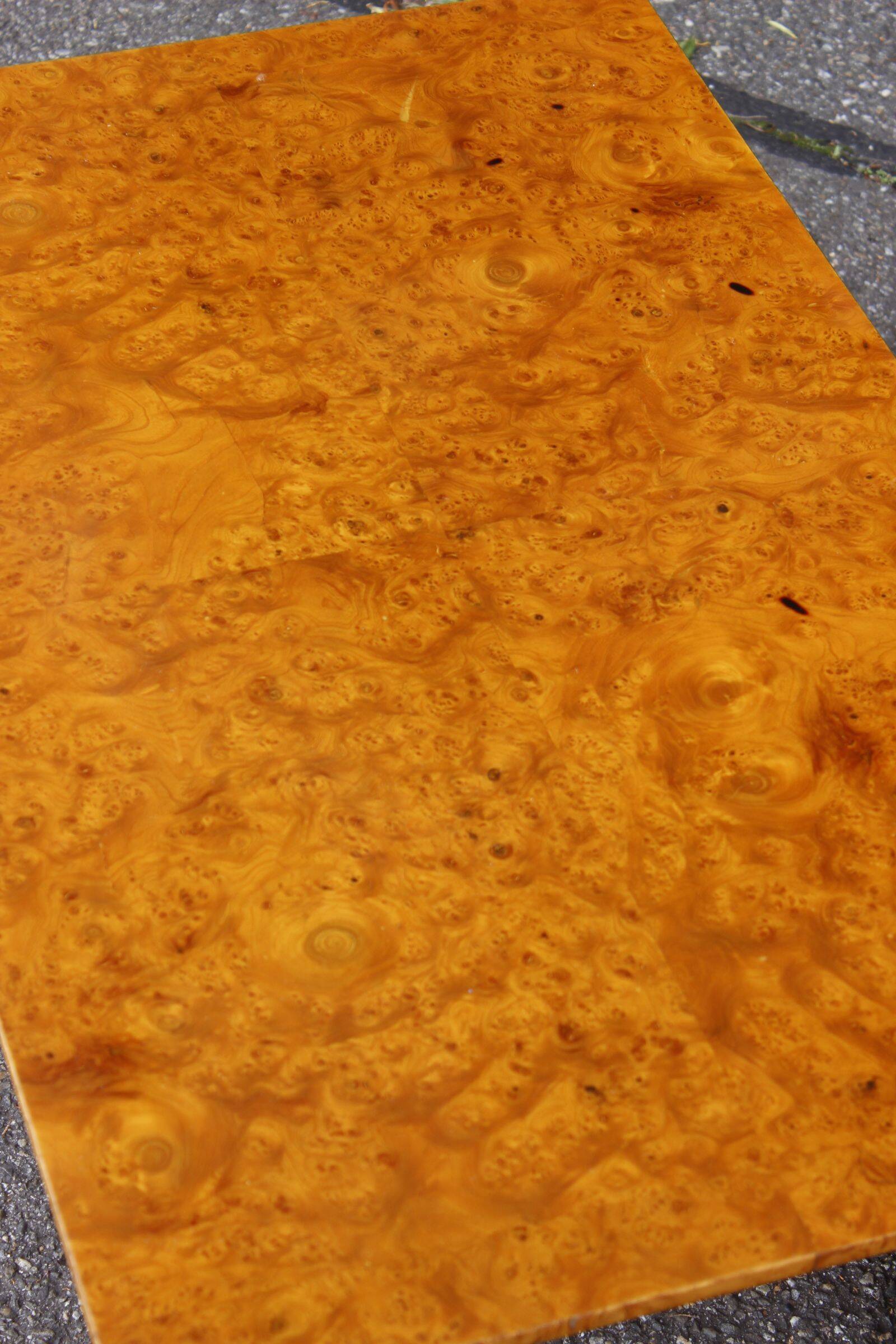 50s modernist coffee table in elm burl veneer